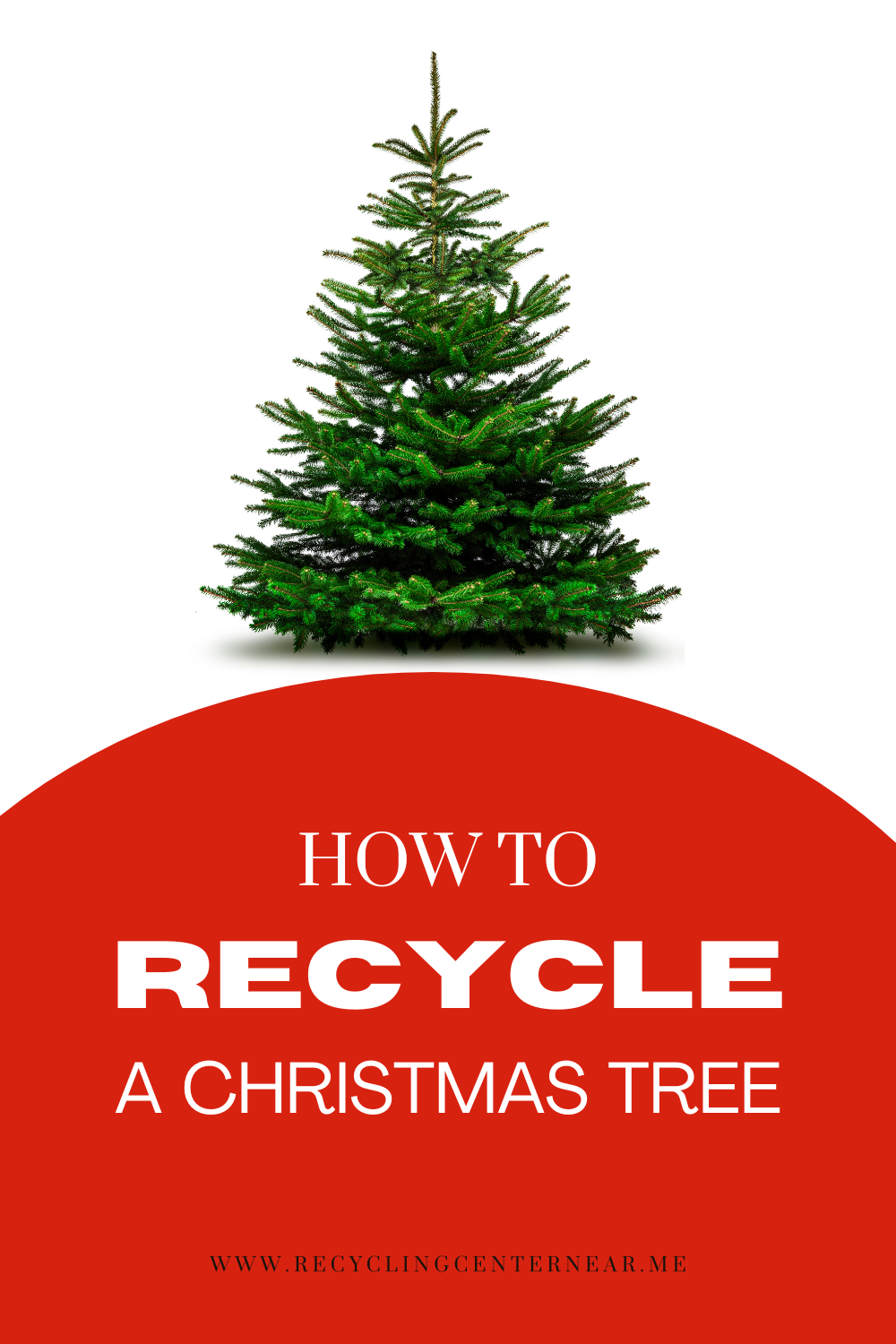 How to recycle a Christmas tree